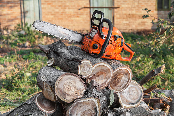  Hooper, UT Tree Service Pros